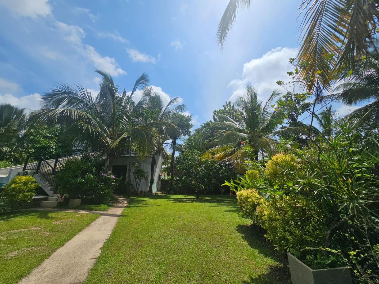 Optimum Residencies Bed & Breakfast Negombo Eksteriør bilde
